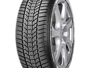 SAVA 205/55 R16 91H ESKIMO HP 2